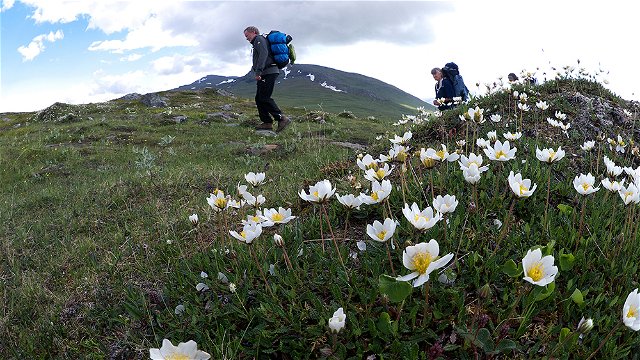 Låddejåhkå-Árasluokta, The Arctic Trail and the Padjelanta Trail