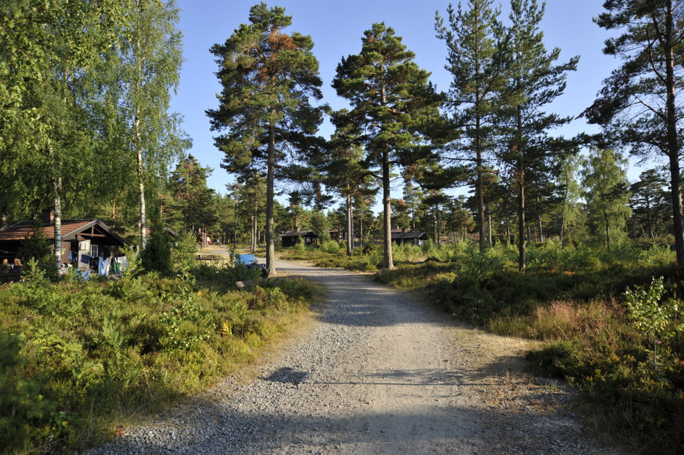 Christer Lundin