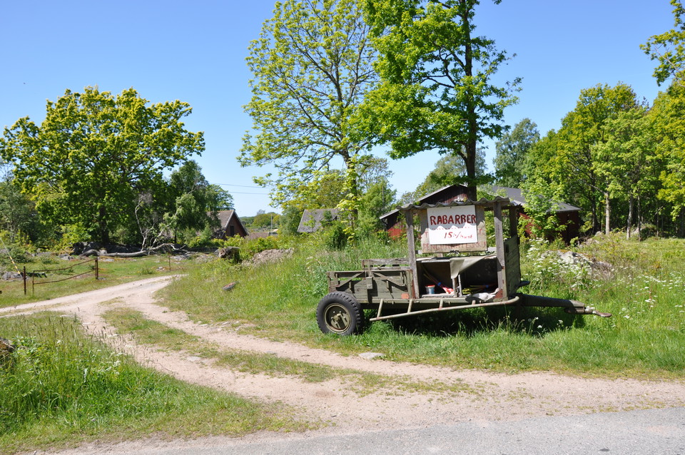 Fotograf: Mattias Holmquist