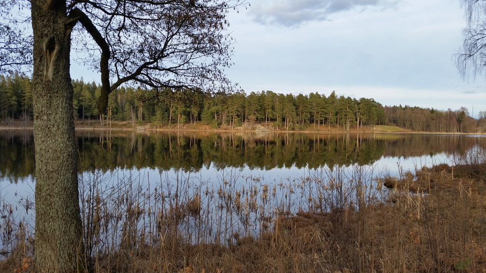 Värnamo kommun
