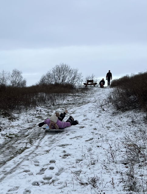 Pulkaåkning