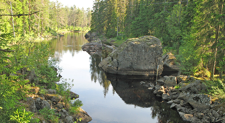 Svartån, Naturreservat