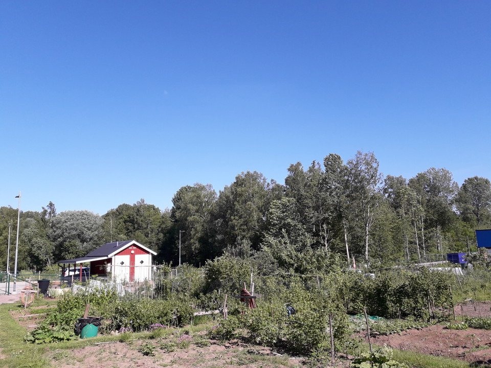 Koloniområde London