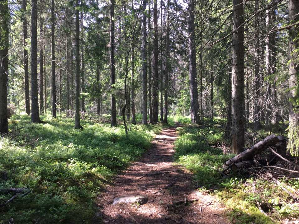 Roslagsleden etapp 6 går igenom naturreservatet