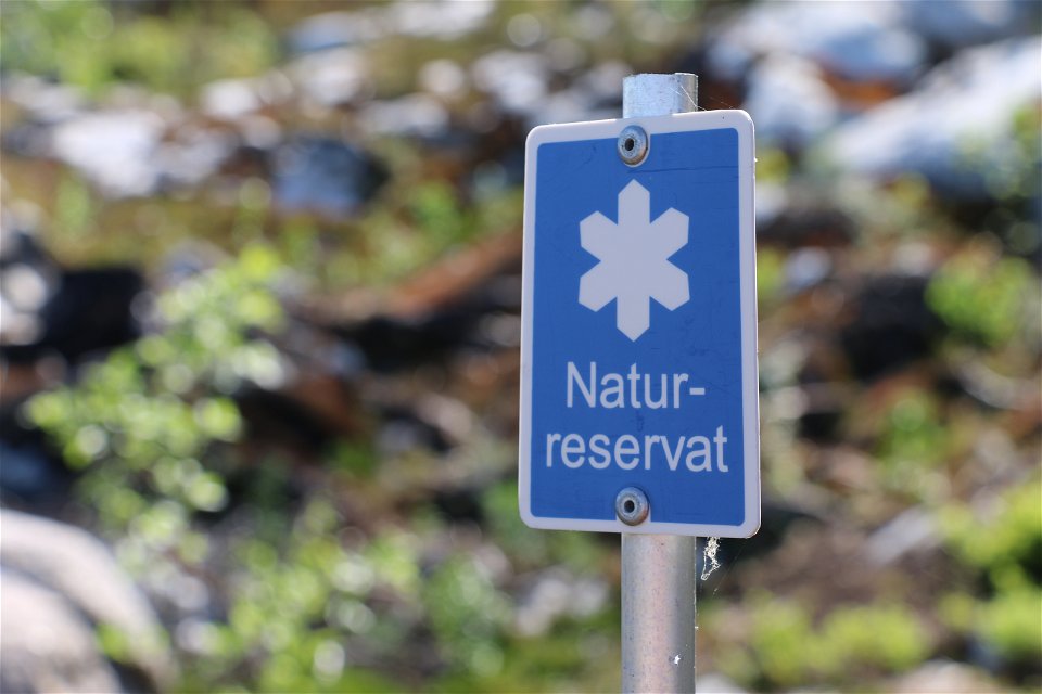Vit naturreservatssymbol på blå skylt.