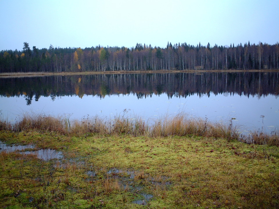 Alterberget gränsar mot sjön Gäddträsket.