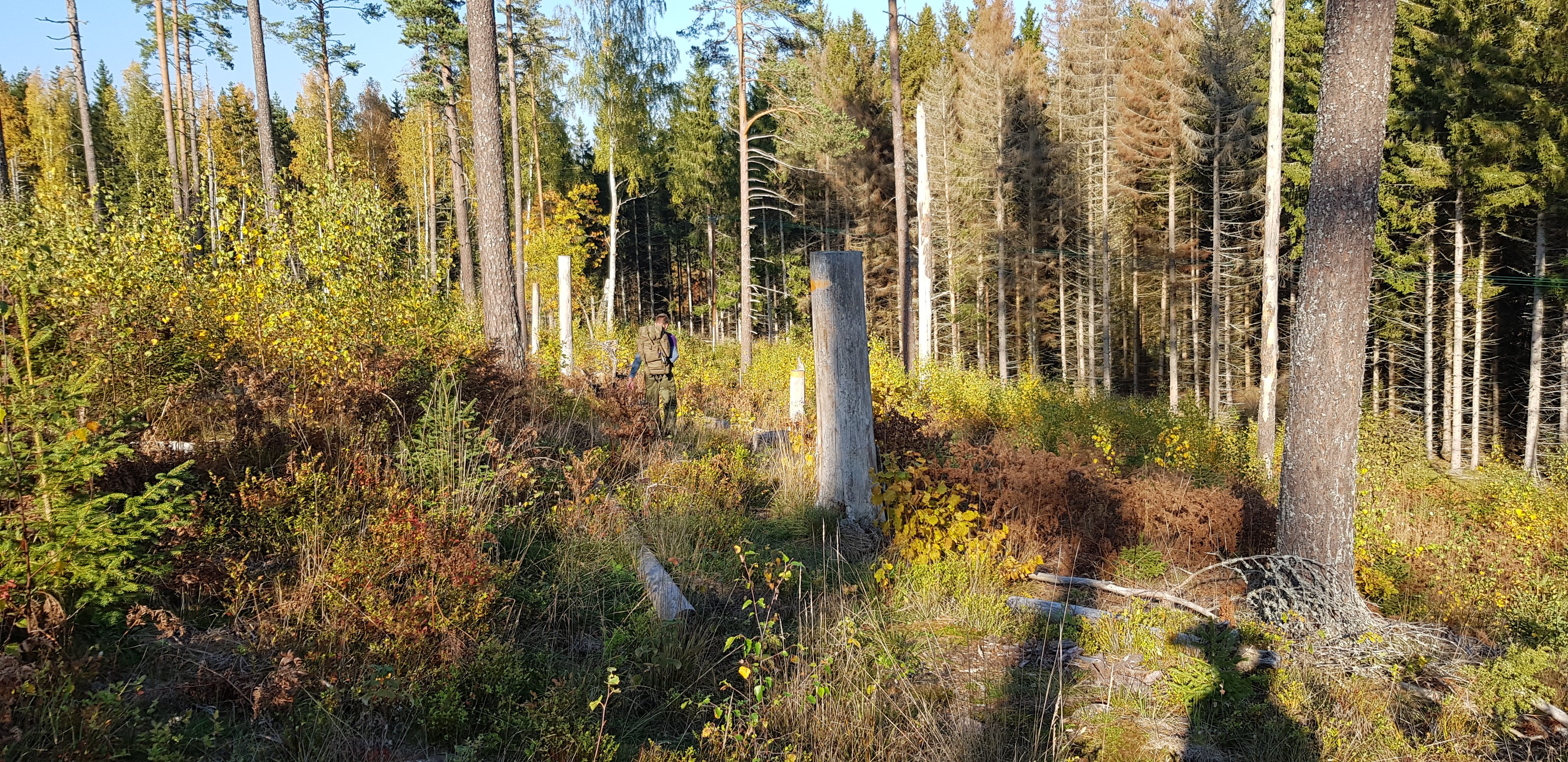 Odensvi – Dalhem – Björndalen, Tjustleden etapp 7