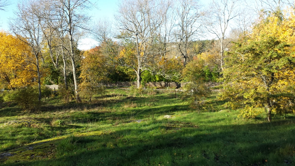 Betesmark med utblick mot Glömsta herrgård.