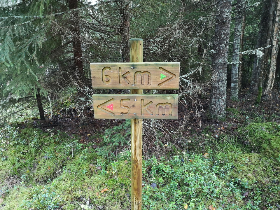 Välj att följa 5 eller 6 km tillbaka. Denna inlagda rutt går längs 5 km slingan.