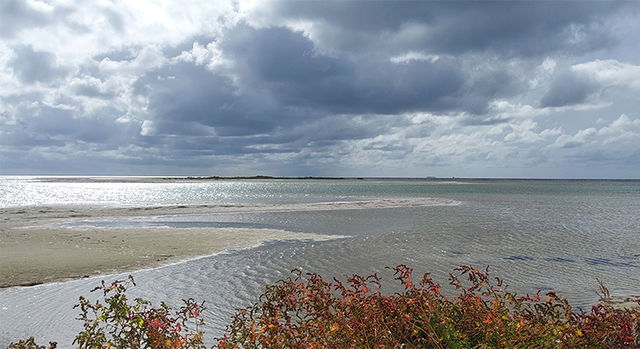 Måkläppen, Naturreservat