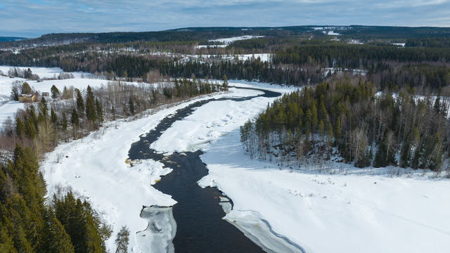 Vännforsen