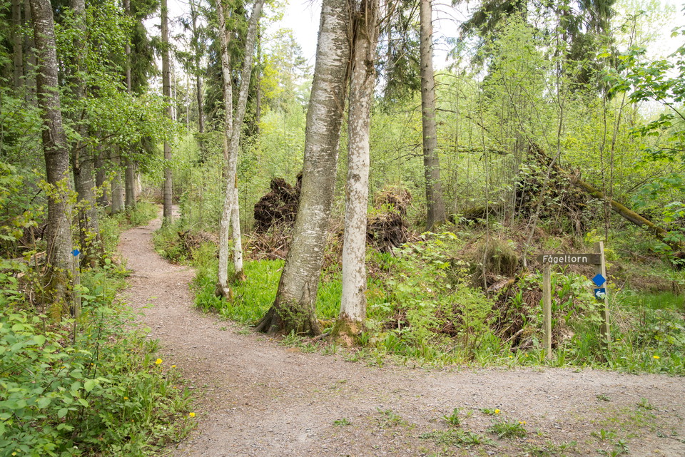 Fotograf: Tobias Ivarsson