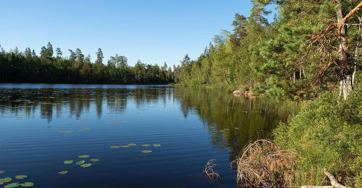 Skirgöl Etapp: Tryserums rundslinga och Tryserum-Fallingeberg