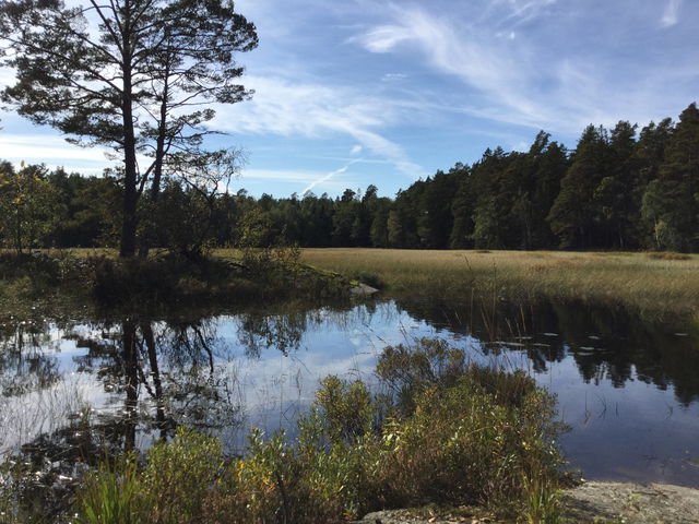 Utsiktsplats, Skeppnan