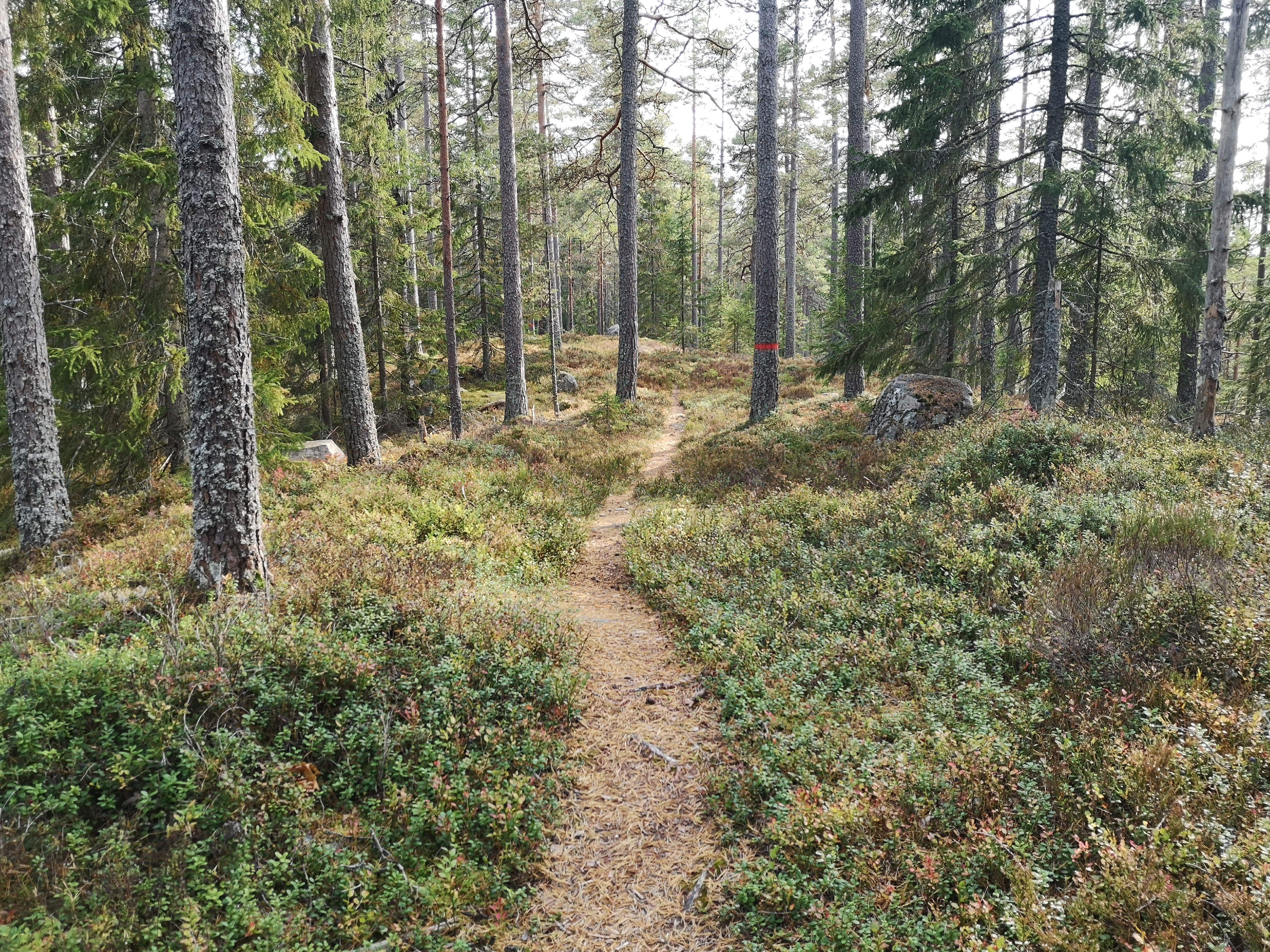 Malingsbo-Klotenleden