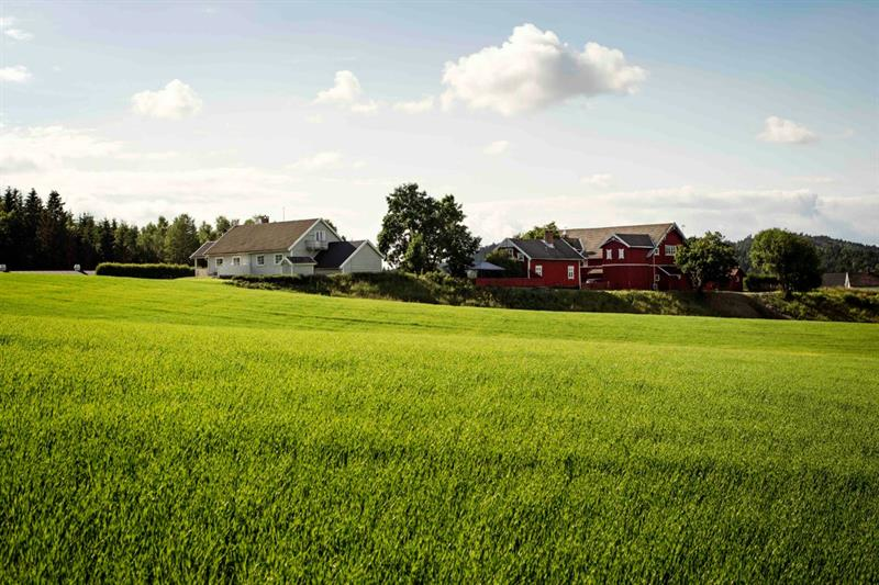 Bamsrudlåven