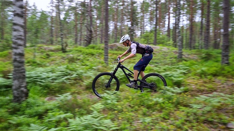 Man cyklar mestadels i luftig skog.