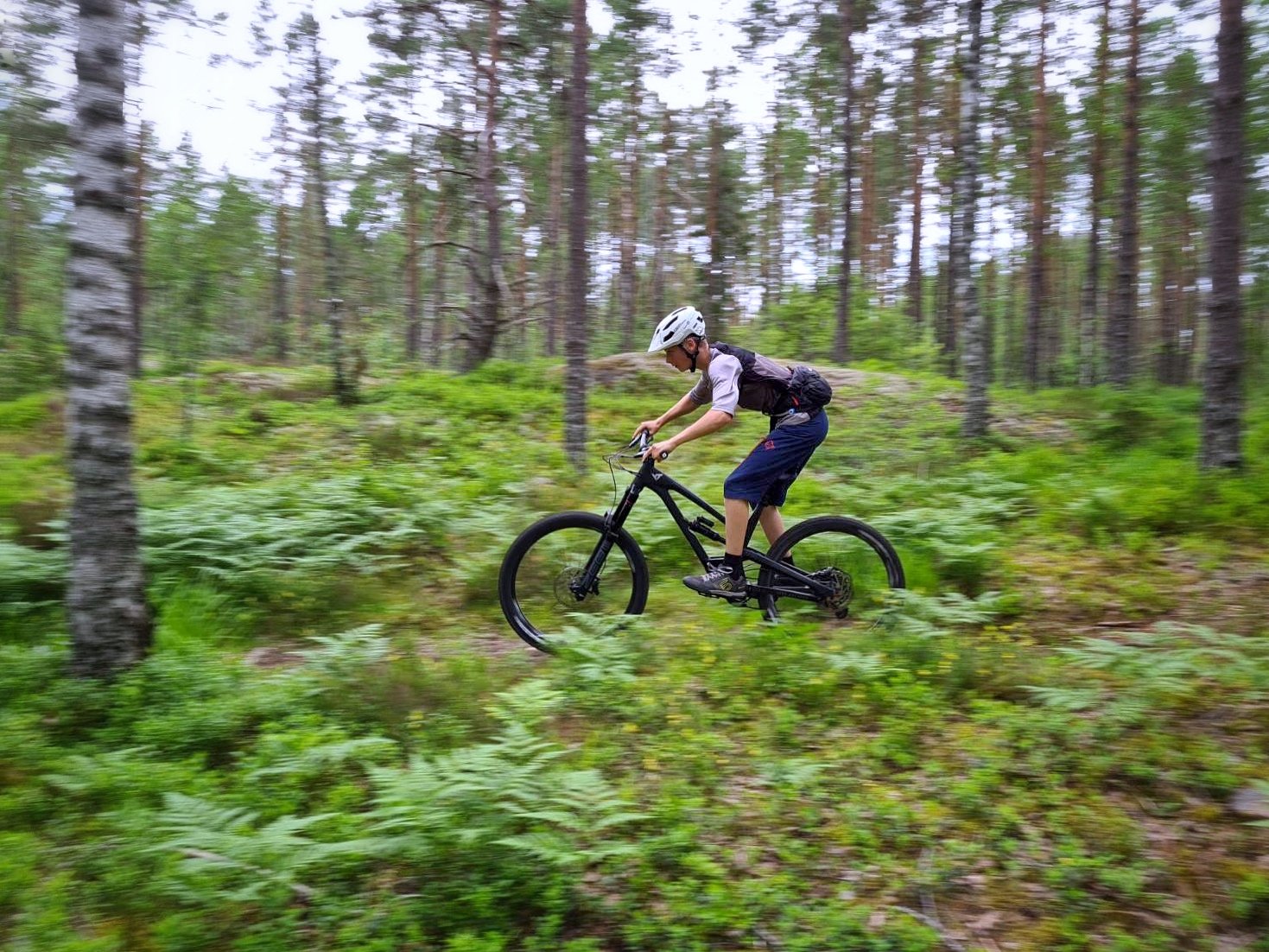 Man cyklar mestadels i luftig skog.