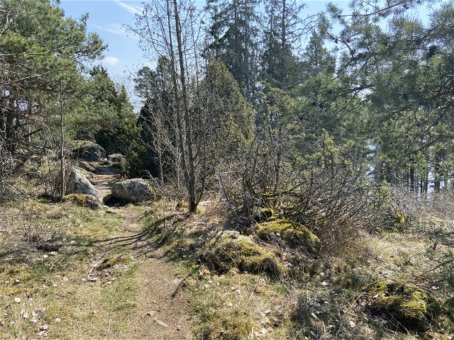The Uppland Trail, section 30, 9.5 km