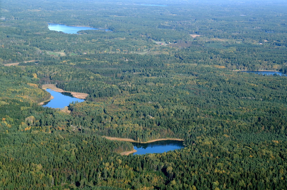 Flygfoto över Trehörningsskogen