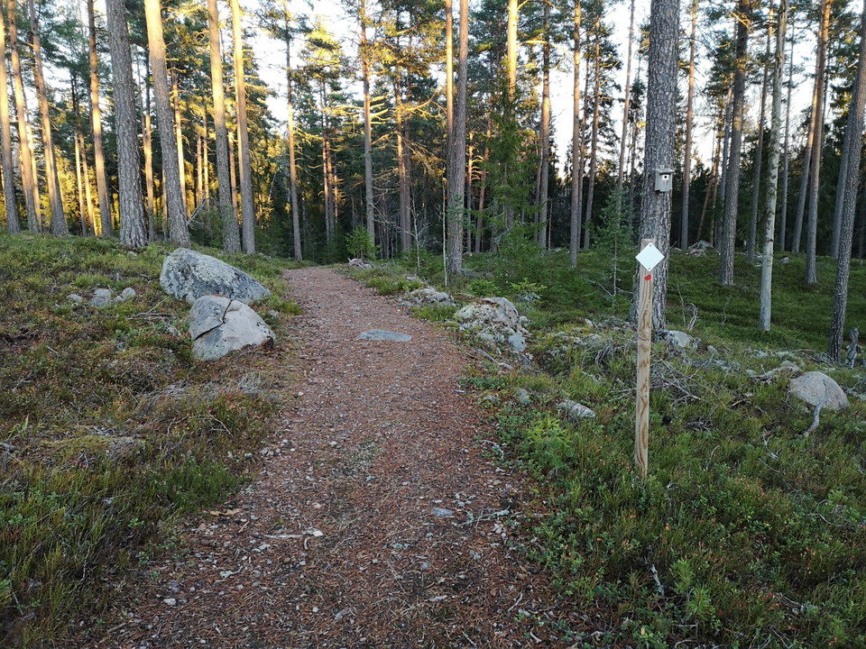Följ markering för 5 och 10 km