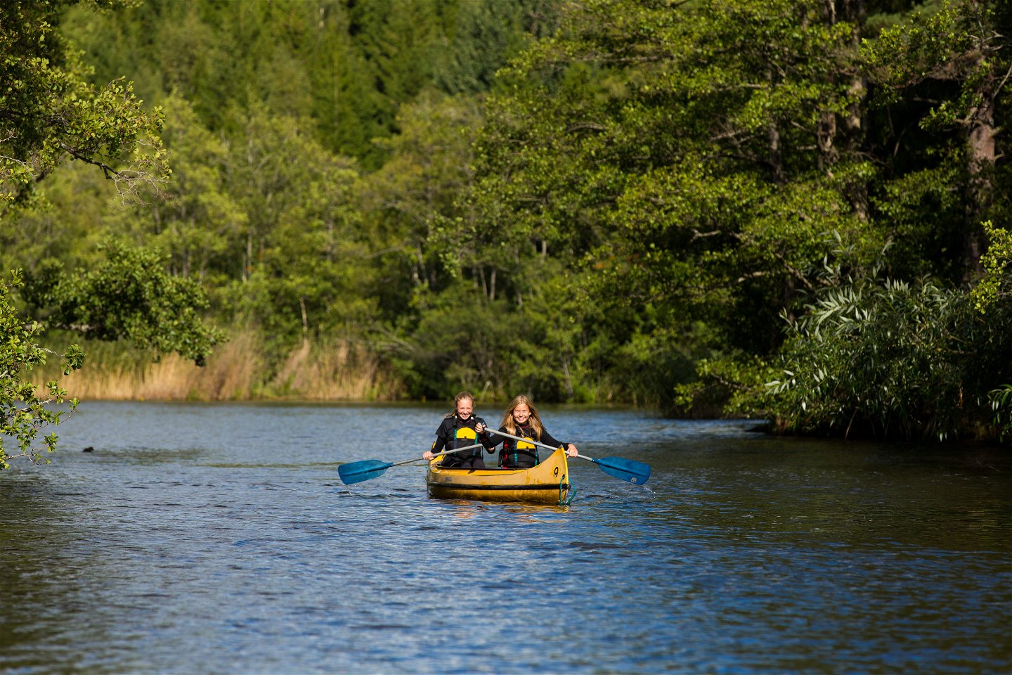 Två personer paddlar kanot en vacker sommardag i Djulösjön. 