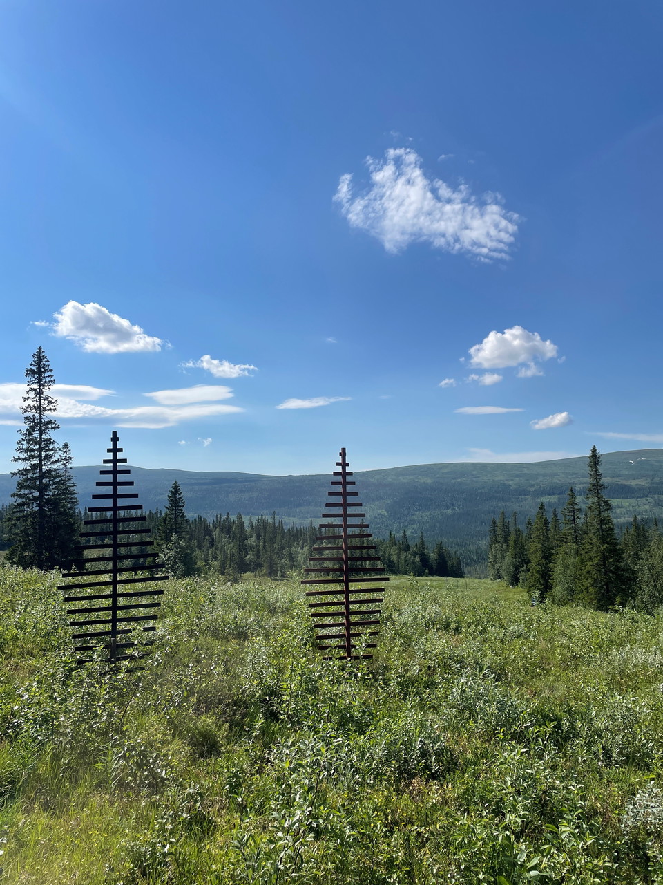 En somrigt grön skidbacke med vy mot en blå himmel