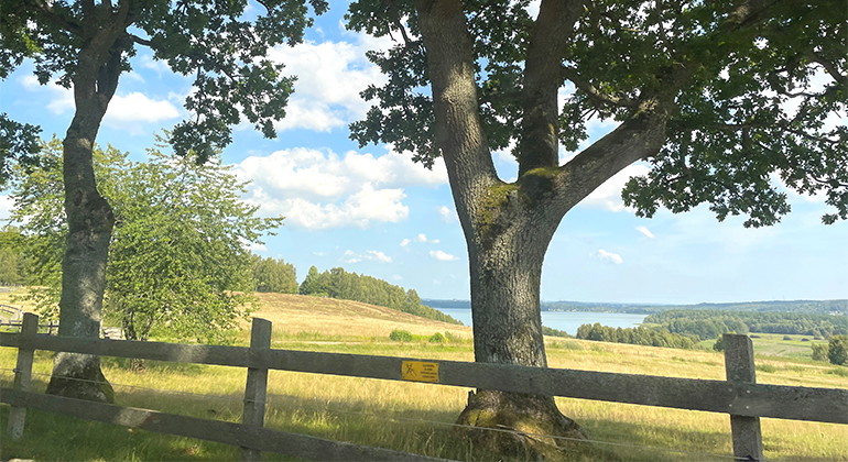 Utsikt mot Dalleröd och Finjasjön.