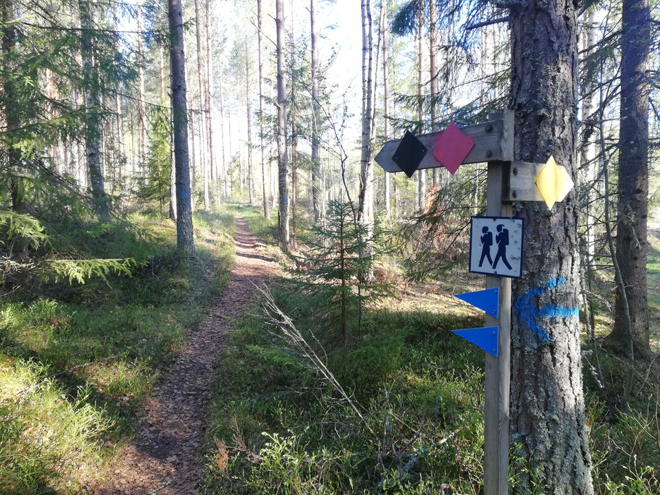 De blå pilarna markerar den MTB-slinga som finns i västra delen av leden.