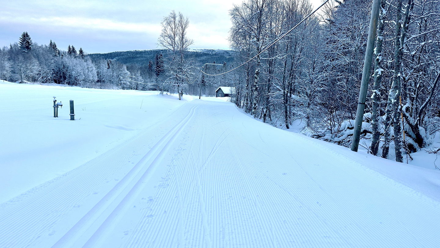 Skidspår i en snöig miljö