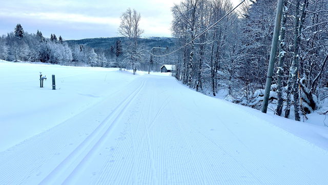 Konstsnöslingan 1,2 km skidspår (Edsåsdalen)