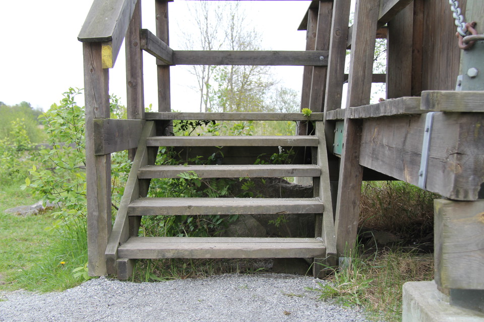 Fågeltornet nås via trappor.