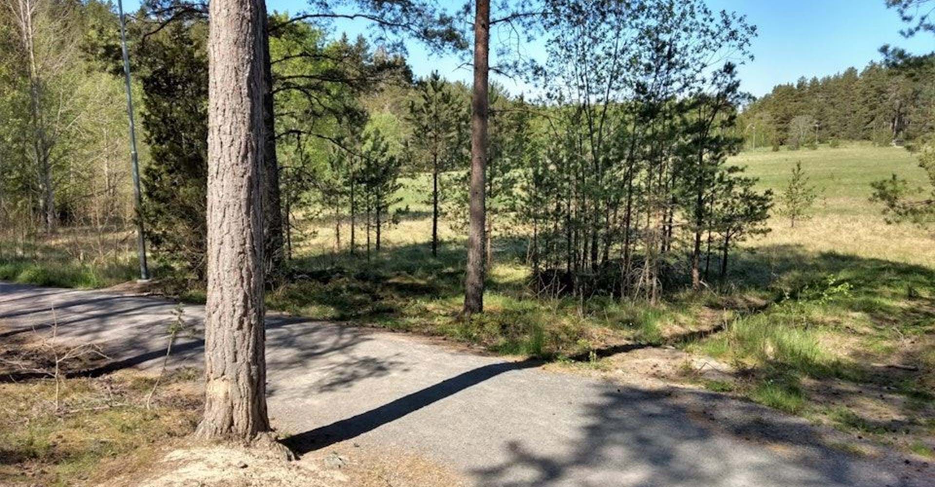 Etapp: Alboga - en gång för alla. Söderköping
Tillgänglighetsanpassad slinga