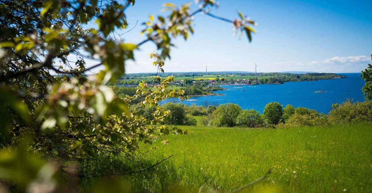 Utsikt mot Hästholmen från Omberg mellan Ellen Key och Almelyckan.