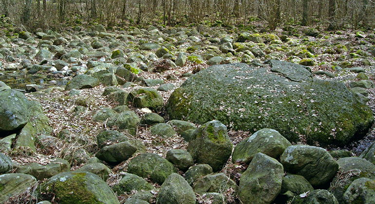 Blockrik mark.