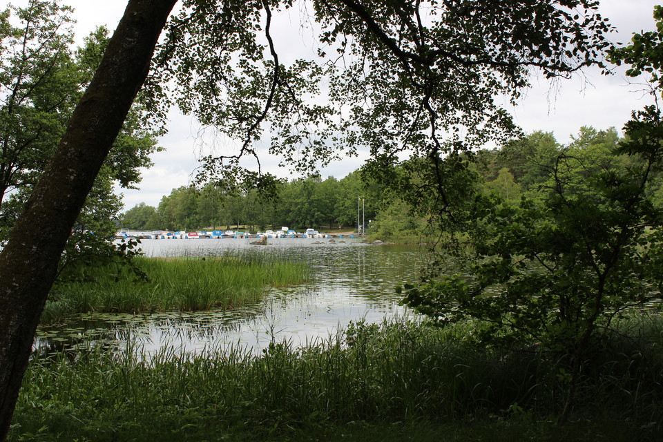 Strandnära utblickar