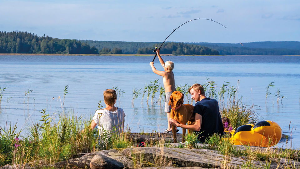 Fiska i Vänern, Grums kommun