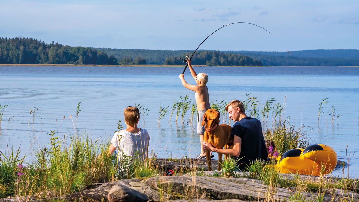 Fiska i Vänern, Grums kommun