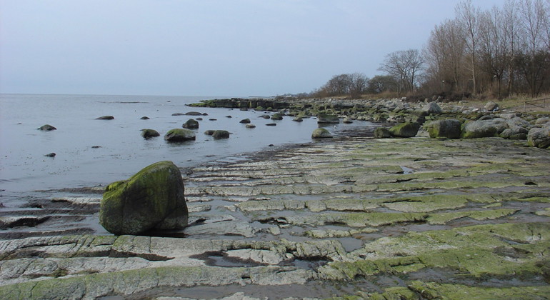 Berghällar i strandlinjen.