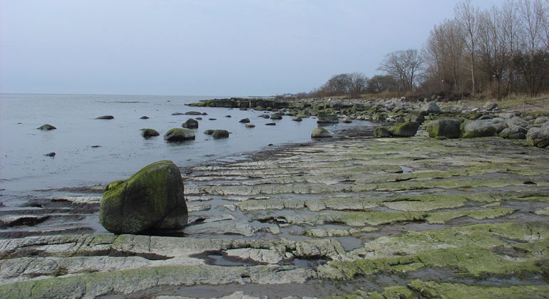 Berghällar i strandlinjen.