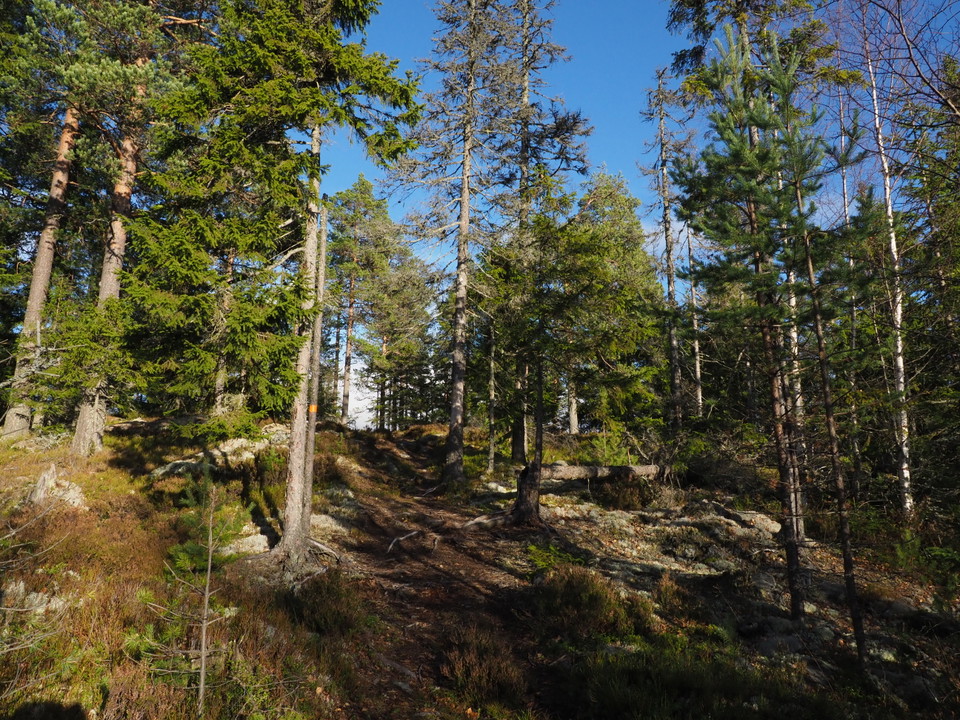 På toppen