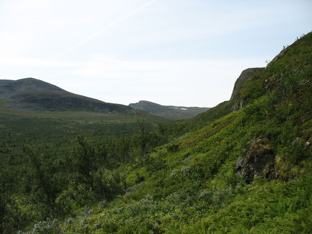 Forsmark - Lappstugan - Matsdal