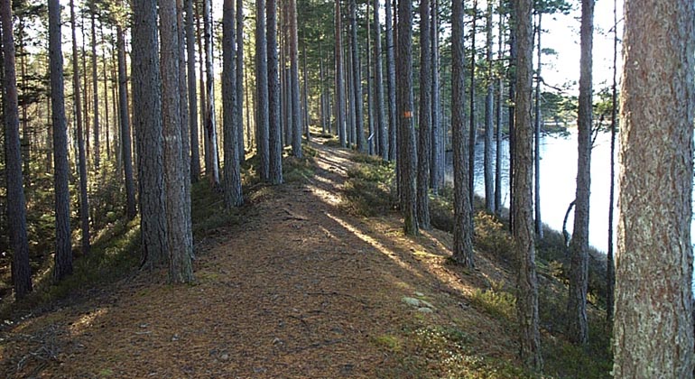 Kråksjöåsen.
