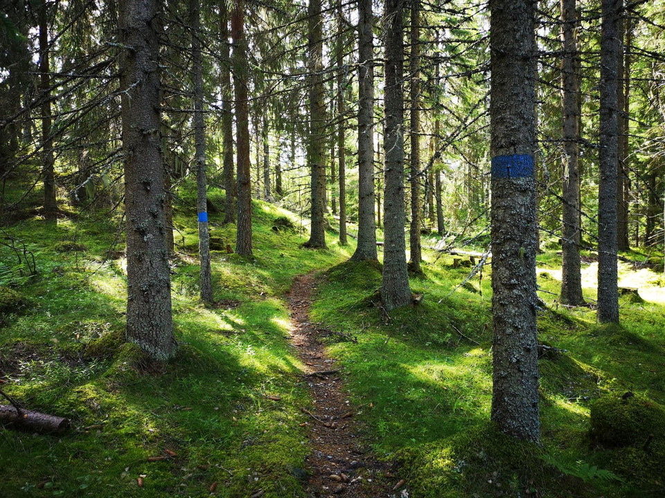 Magiskt vackert, som i en park.