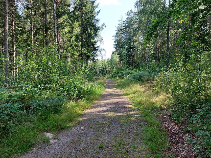 En mix av grus och skogsstig