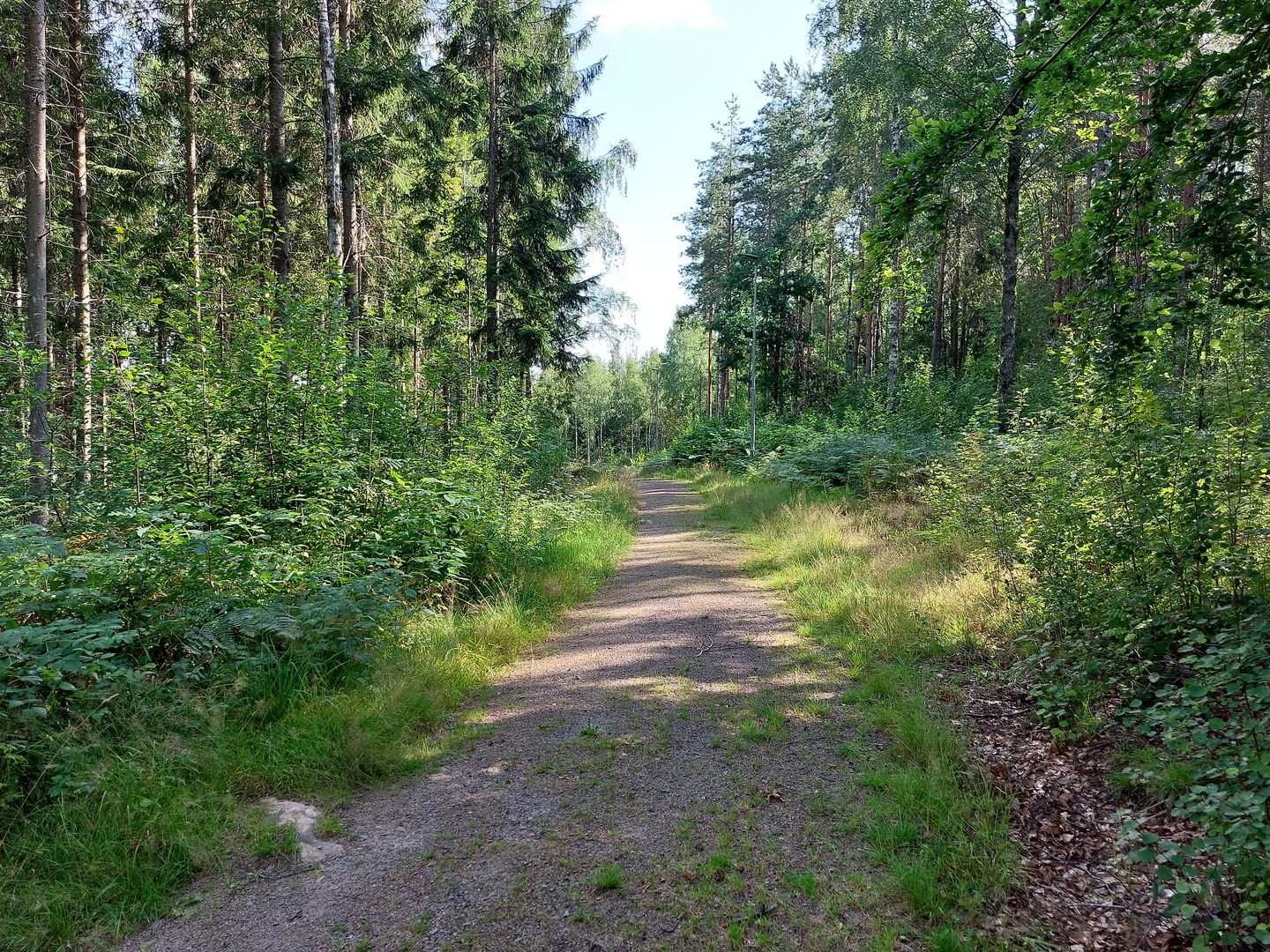 En mix av grus och skogsstig