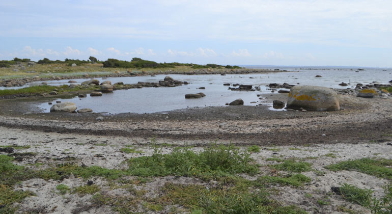 stening strandkant