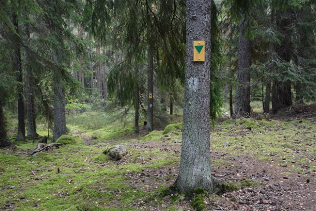 Skogsstigen i Rösjöskogens naturreservat