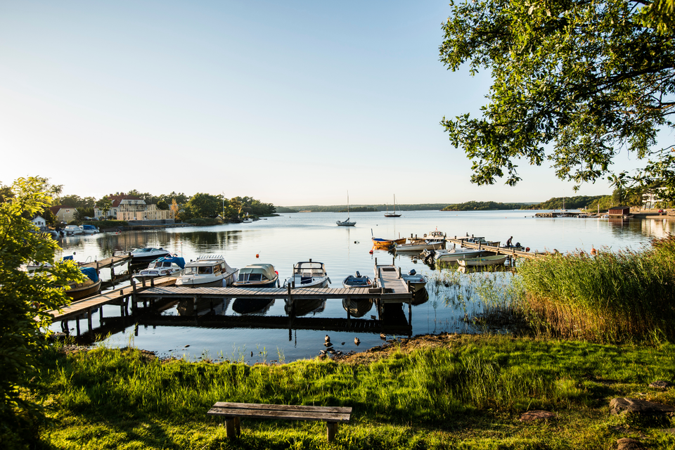 Gräsvik