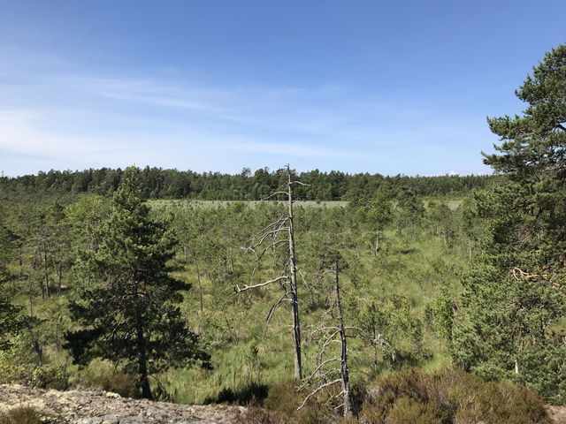 Utsiktsplats, Långviksträsk
